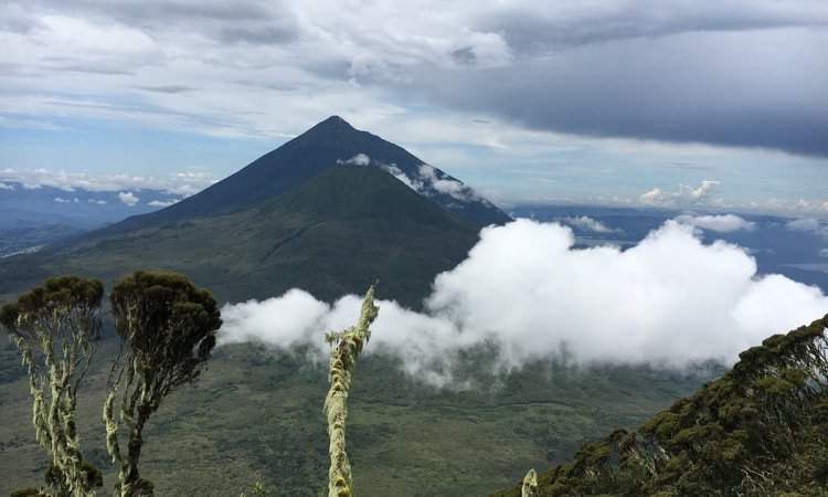 3-Day Mount Sabyinyo Climbing Tour Uganda