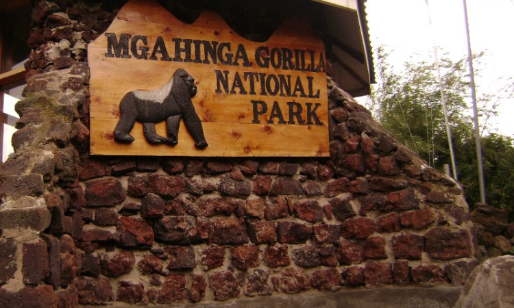 Location of Mgahinga National Park & How to Get There