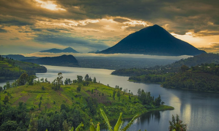 Mgahinga in October - Weather, Gorilla Trekking & Travel Tips