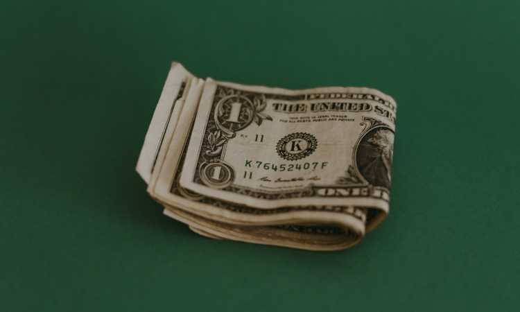 Tipping Guide for Mgahinga National Park – Who to Tip & How Much