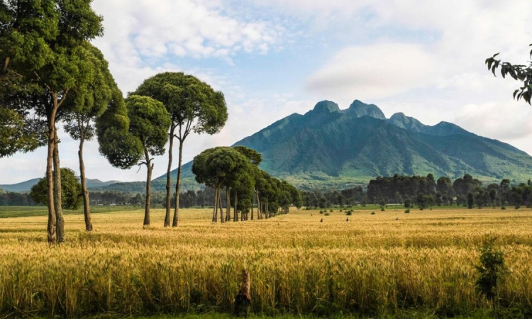 Top National Parks in the Democratic Republic of Congo