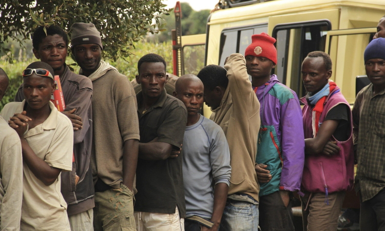 Hiring Porters When Trekking Gorillas in Uganda